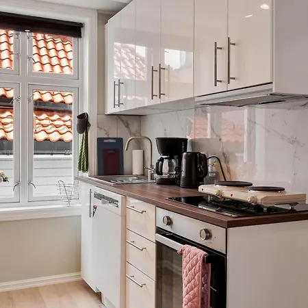 Newly Renovated 1 Bedroom In Heart Of アパート ベルゲン