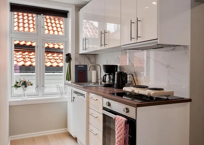 Newly Renovated 1 Bedroom In Heart Of Leilighet Bergen
